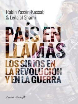 País en llamas. Los sirios en la revolución y en la guerra